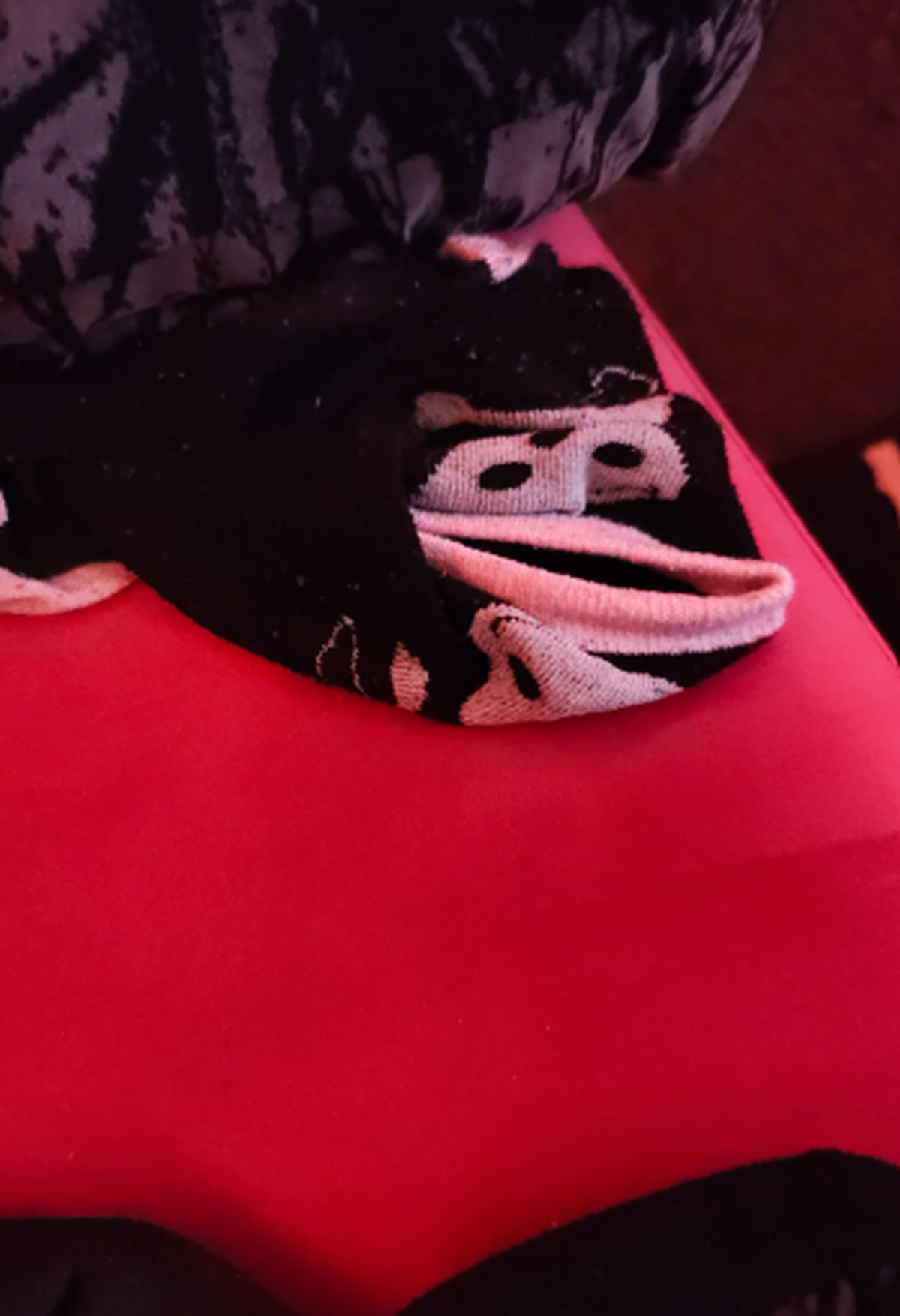 Pareidolie: Lustige Dinge mit Gesicht
