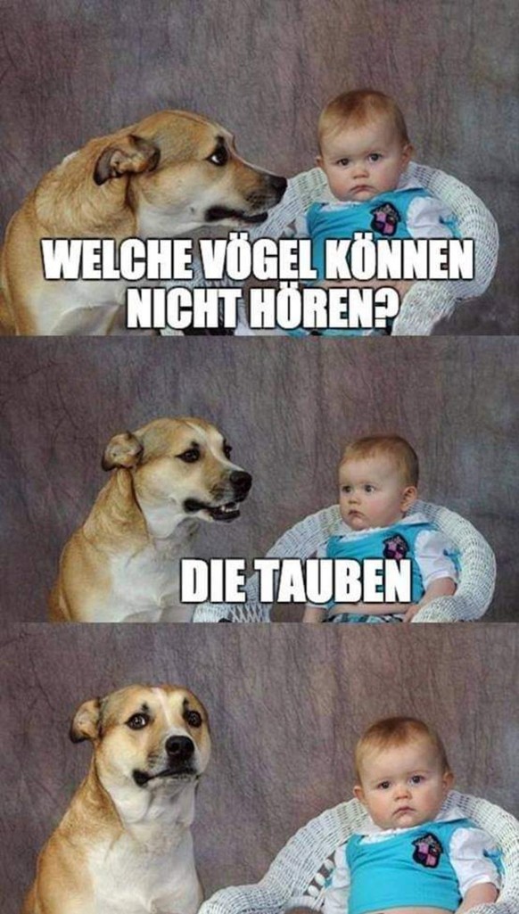 Zeit, so zu tun, als würdest du arbeiten: PICDUMP!\nArmer Armando.