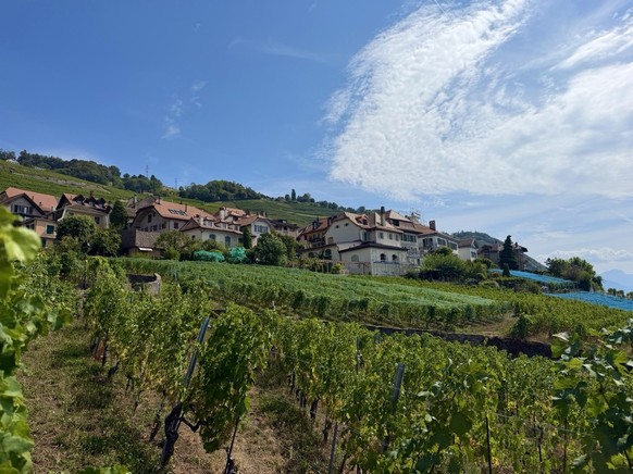 Mont Pèlerin Vevey Lavaux Weinterrassen Epesse Dézaley