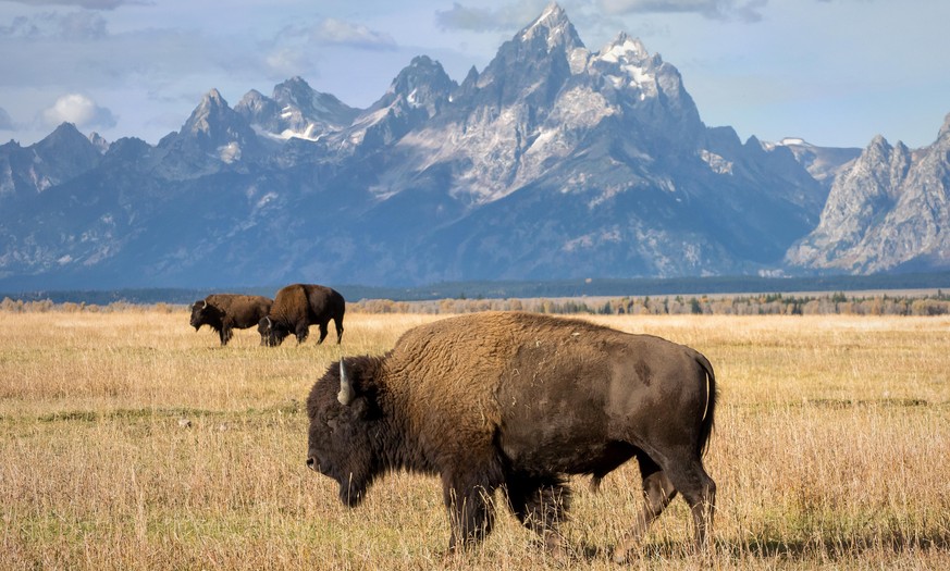 wyoming, bild: shutterstock