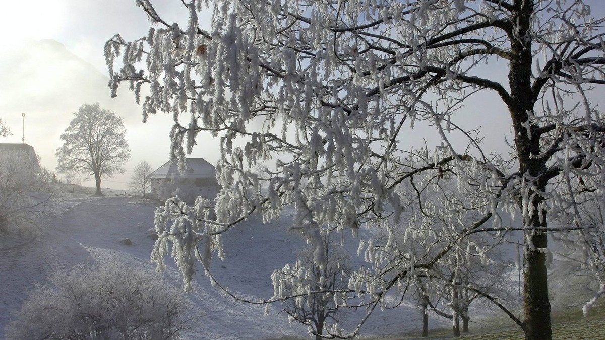 So wird das Wetter zu Weihnachten