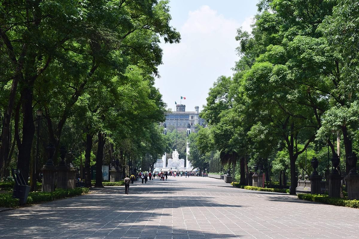 Bosque de Chapultepec