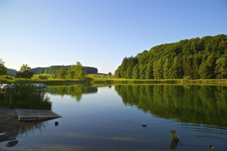 Türlersee Stallikon Zürich Badesee