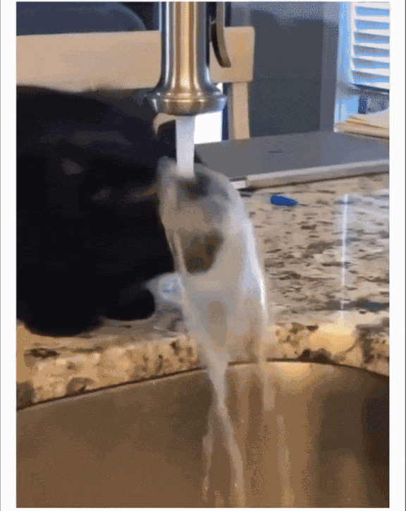 Animiertes GIF