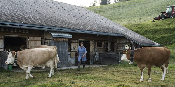 Direktzahlungssystem sei Dank: Die Bergbauern profitierten stärker