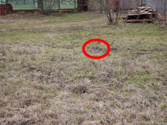 second image