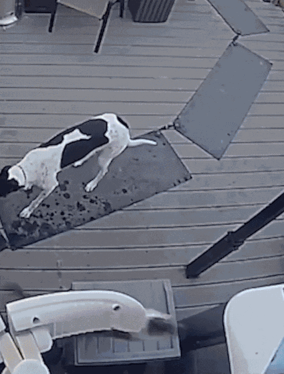 Animiertes GIF