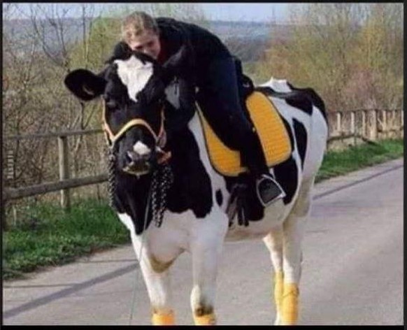 PICDUMP 389 тАУ jetzt mit echter Kunst von ... Warhold ЁЯЩГ\nJulia hat zwei Leidenschaften im Leben:

Cannabis und PferdeтАж..ЁЯШЙ