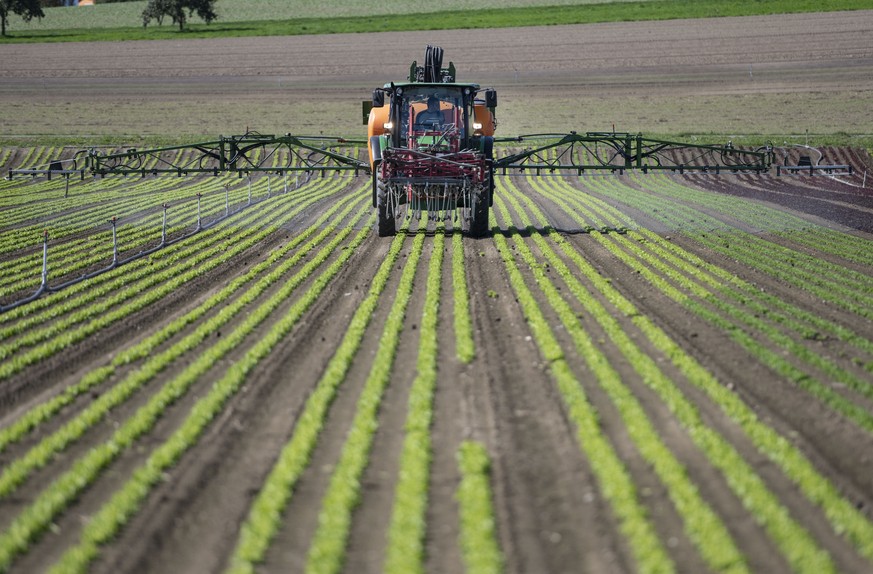 ARCHIVBILD ZUR MK DER SVP ZUR AGRARPOLITIK AB 2022 (AP22+), AM MONTAG, 27. JULI 2020 - With a field sprayer system, a tractor applies pesticides to a lettuce field on the Gemuese Kaeser &amp; Co. farm ...