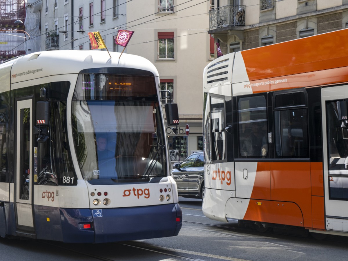 Aucun tram ne circulera cet