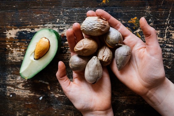 Avocado-Kerne ... wer will einen Avocado-Baum?