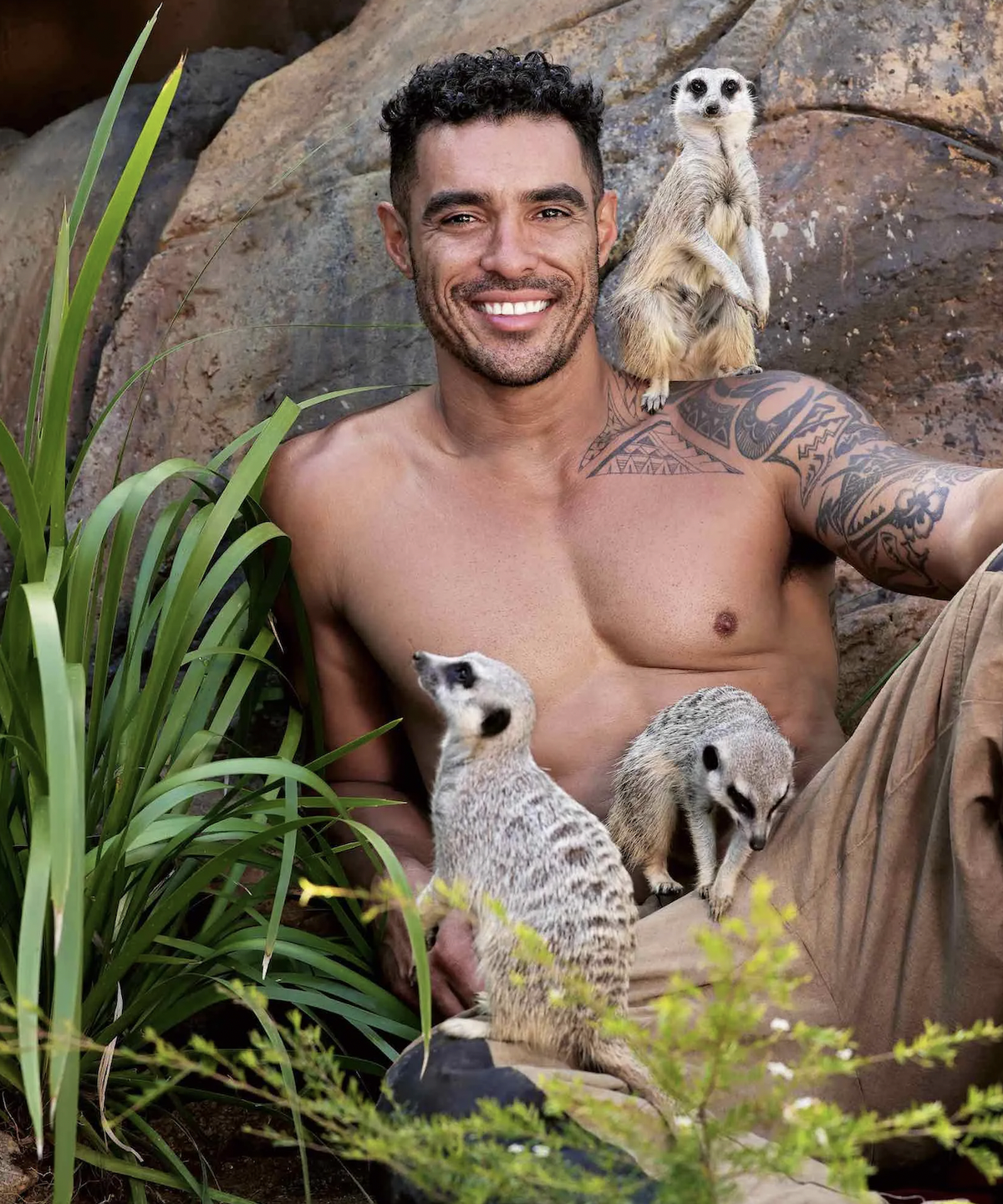 un suricate sur les épaules d'un pompier australien