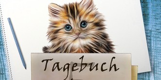 «Liebes Tagebuch, ich glaube, ich bin schwer krank!»