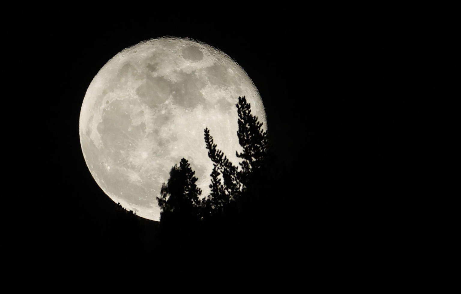 epa10832695 Trees are silhouetted against the supermoon, as viewed from Bogota, Colombia, 31 August 2023. EPA/Mauricio Dueñas Castañeda
