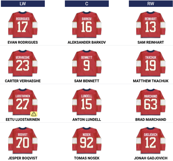 NHL Stanley-Cup-Final: Die aktuellen Sturmlinien der Florida Panthers.