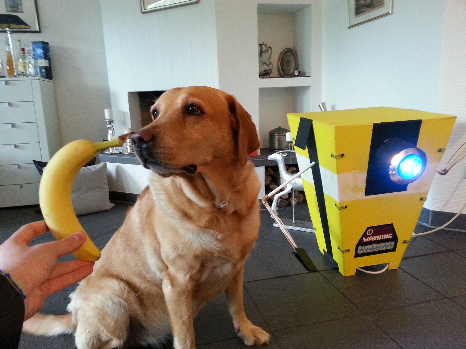 Die Banane dient dem Grössenvergleich.