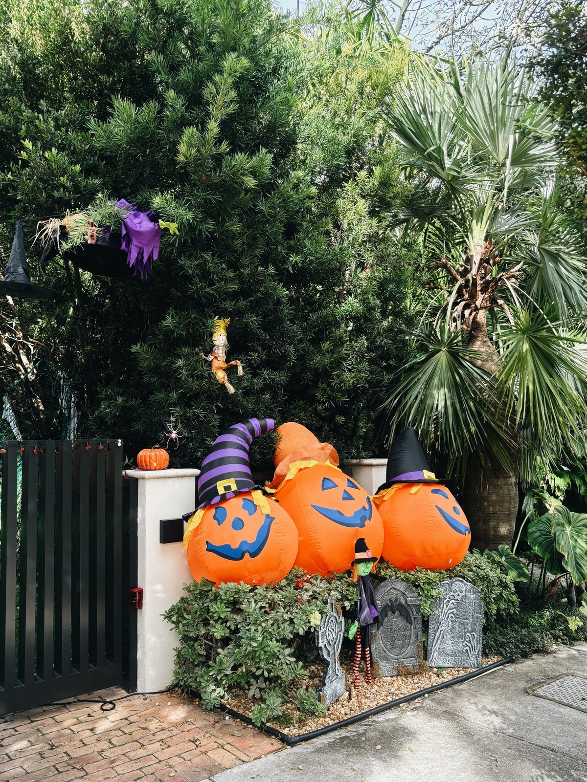 Processed with VSCO with a6 preset
