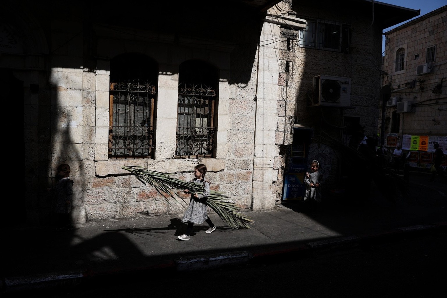 epa10226662 An Ultra-Orthodox Jew holds a palm branch, used during the celebration of Sukkot, the Feast of the Tabernacles, in the Ultra-Orthodox neighborhood of Mea Shearim, Jerusalem, 06 October 202 ...