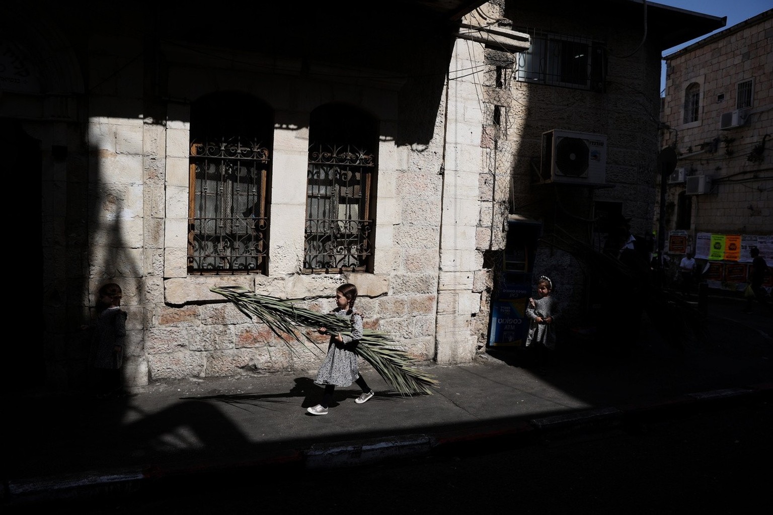 epa10226662 An Ultra-Orthodox Jew holds a palm branch, used during the celebration of Sukkot, the Feast of the Tabernacles, in the Ultra-Orthodox neighborhood of Mea Shearim, Jerusalem, 06 October 202 ...
