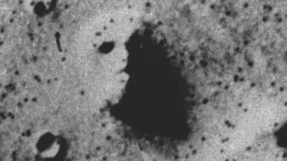 A feature on the surface of Mars, in which some people believe they see a face, is shown in a photograph sent by the Viking spacecraft in 1976. Mission officials for the Mars Global Surveyor are takin ...