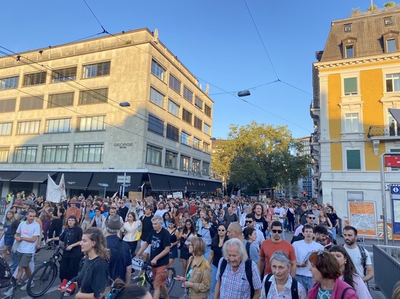 Klimastreik vom 15. September (Zürich).