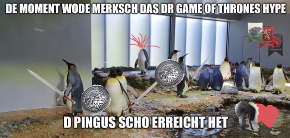 Und was kommt nie aus der Mode? Genau: PICDUMP
Het leider keini Birkestock Schlappe in dr PingugrÃ¶ssi kah. Drum kei Platz kah fÃ¼r e Hippie-Pingu mit Avocado...