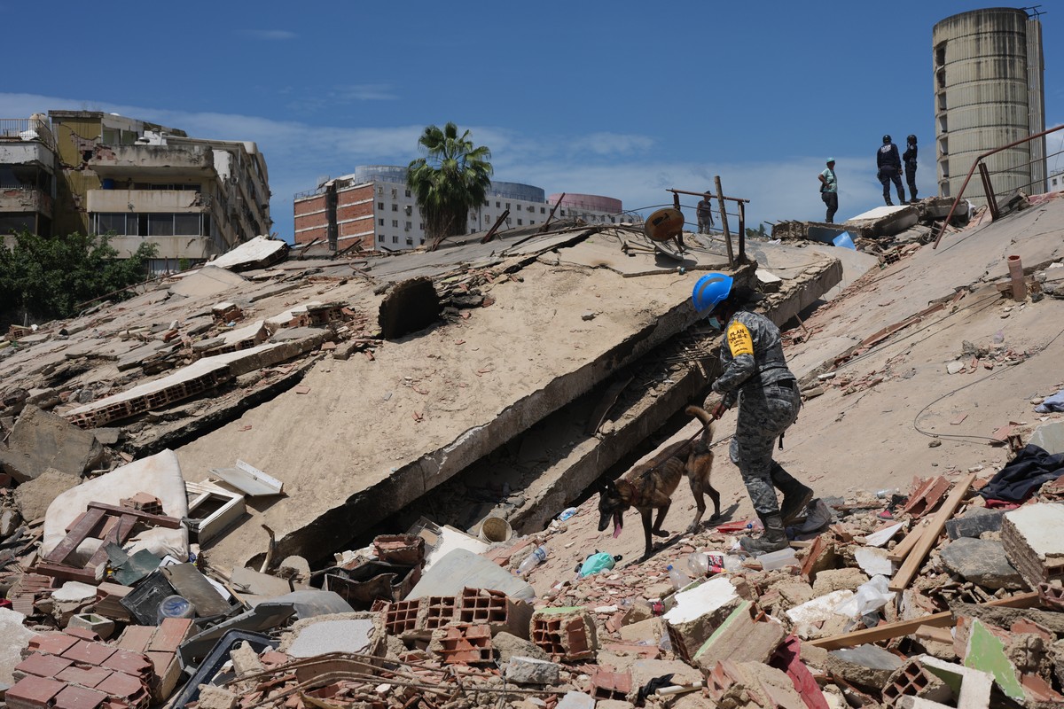 A Mexican rescue worker and a sniffer dog search through the rubble of a collapsed building in La Guaira, Venezuela, Saturday, June 27, 2026, three days after twin earthquakes struck the country. (AP  ...