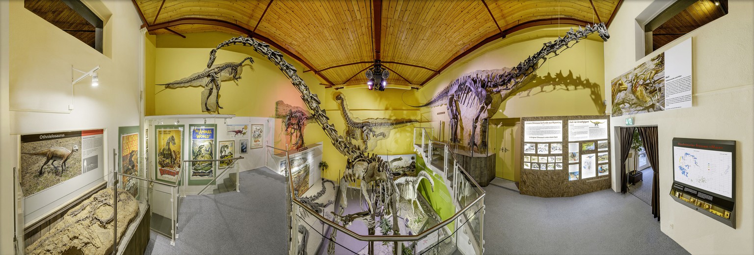 Sauriermuseum Aathal 
Dinosauriermuseum