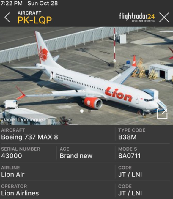 Die Unglücksmaschine war eine brandneue Boeing.
