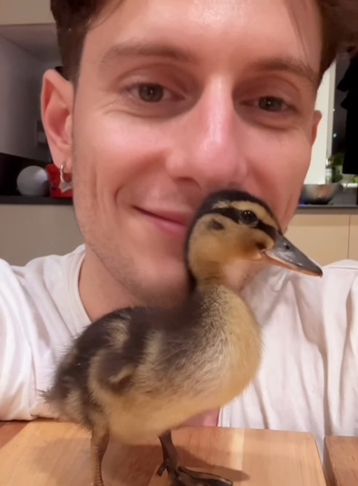 Duck Dad Riyadh Khalaf
https://www.instagram.com/riyadhk/?hl=en