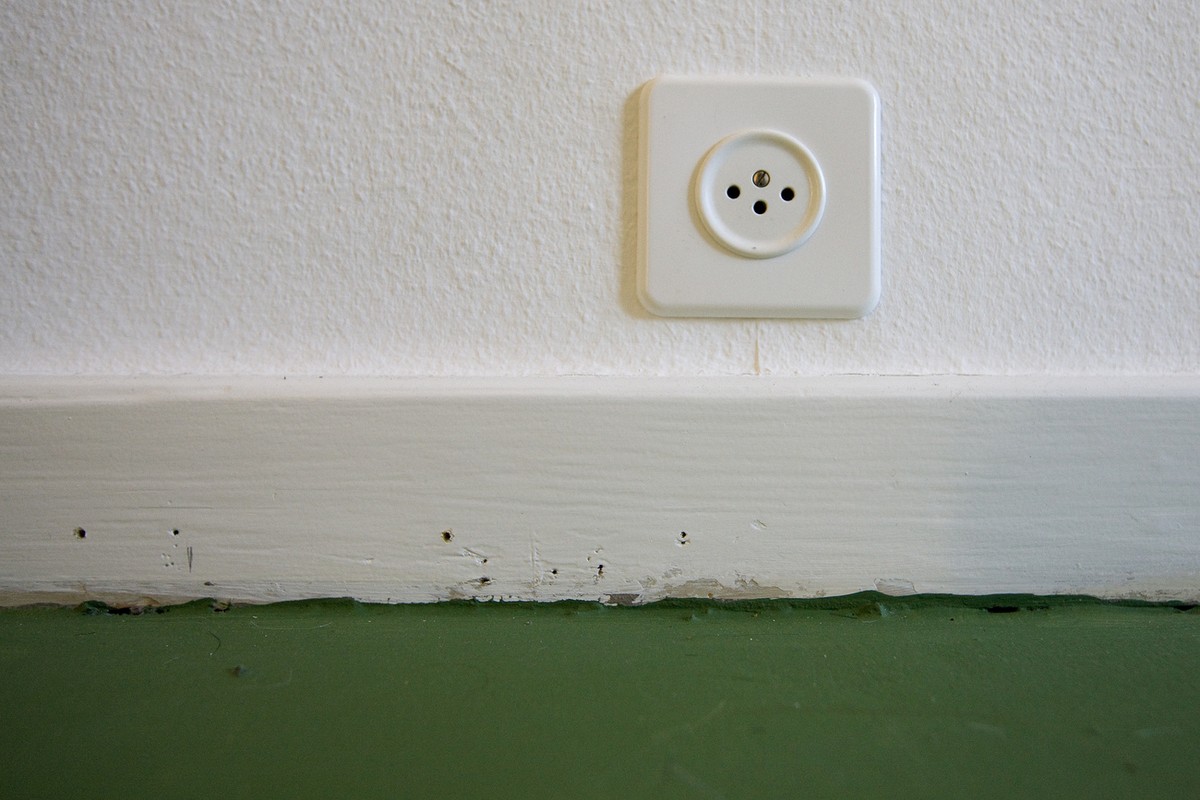 Electric socket in an empty apartment in Zurich, Switzerland, pictured on December 9, 2009. (KEYSTONE/Alessandro Della Bella)

Steckdose in einer leeren Wohnung in Zuerich, Schweiz, aufgenommen am 9.  ...