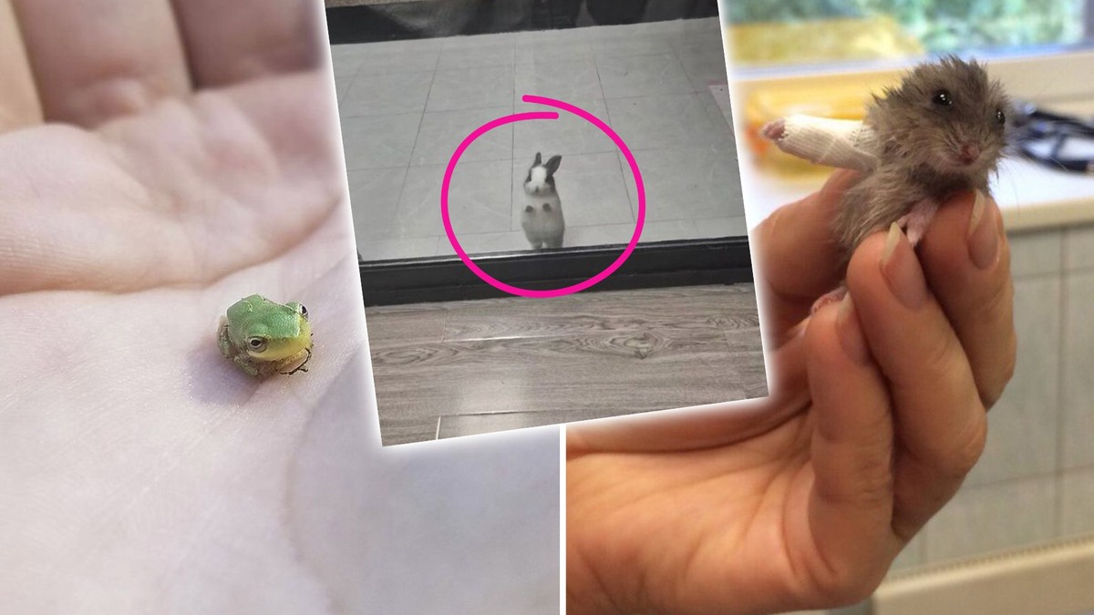 Halt, stopp! Zur Feier des Freitags gibt es hier eine klitzekleine Überraschung