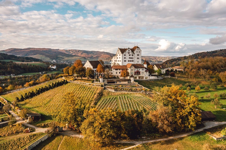 Eine Luftaufnahme vom Schloss Wildegg mit dem herbstlichen Rebberg im Vordergrund. Rauszeit Herbsttäler Bünztal