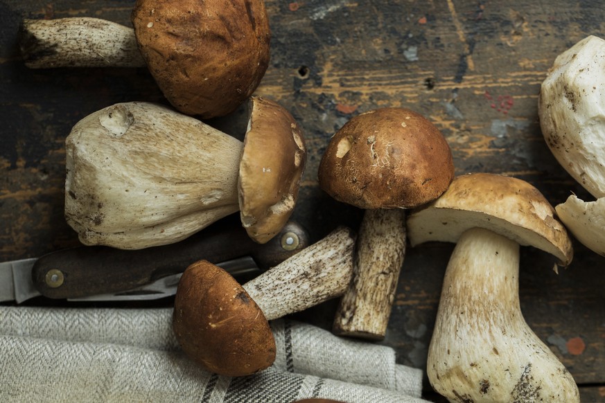 porcini steinpilze pilz herbst essen food vegetarisch italien gemüse