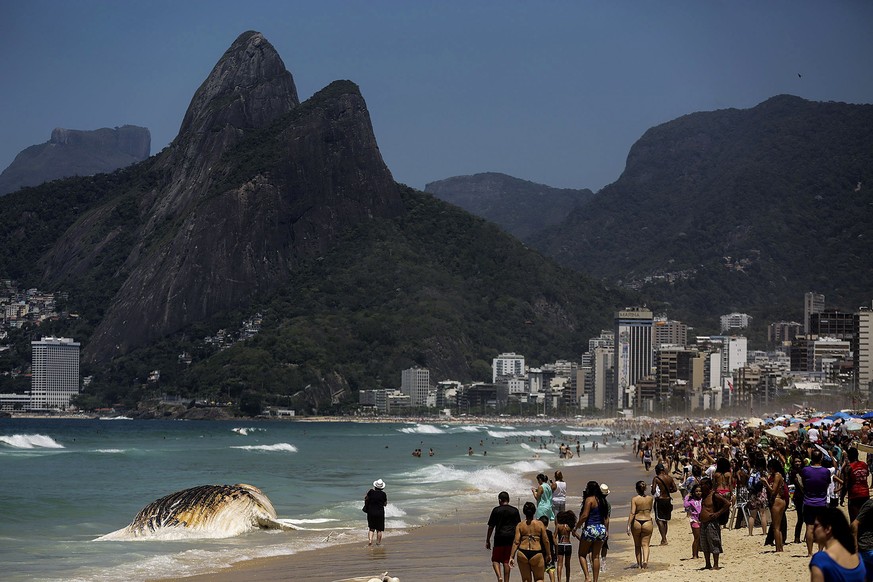 epa06331531 A group of people observe a dead whale that washed up on the tourist beach of Ipanema in Rio de Janeiro, Brazil, 15 November 2017. The humpback whale weighs about 30 tons and authorities h ...