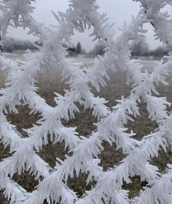 Die krassesten Eis-Bilder zur Kälte