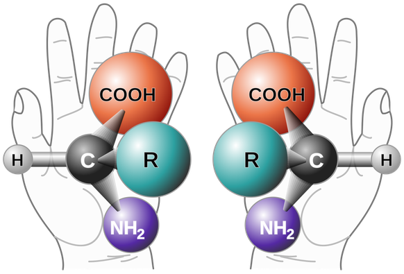 Die beiden Enantiomere eines chiralen Moleküls unterscheiden sich räumlich voneinander im Aufbau, ähnlich wie rechte und linke Hand.
https://de.wikipedia.org/wiki/Chiralit%C3%A4t_(Chemie)#/media/Datei ...