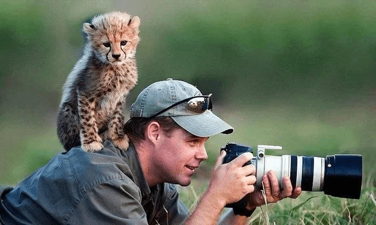 cute news tier fotograf

https://www.reddit.com/r/FunnyAnimals/comments/1h5sw40/animals_disturbing_photographers/