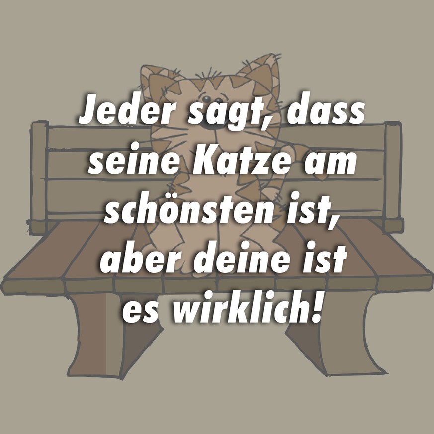 9
  Anzeichen, dass deine Katze deine beste Freundin ist