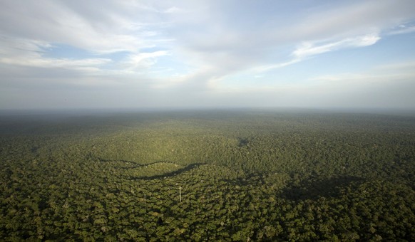 Sicht auf das Amazonasbecken vom Amazon Tall Tower Obervatory (ATTO) in Sao Sebastiao do Uatuma, mitten im Amazonas.