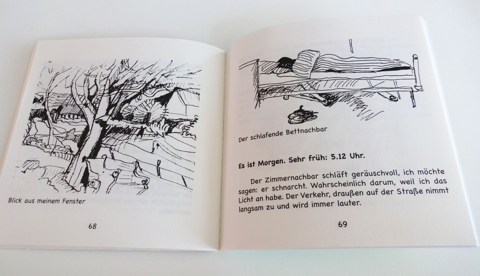 Die Zeichnungen, die Dittmann in der Klink produziert hat, sowie seine gesamte Lebensgeschichte werden später von einem kleinen Verlag als Buch herausgebracht.&nbsp;