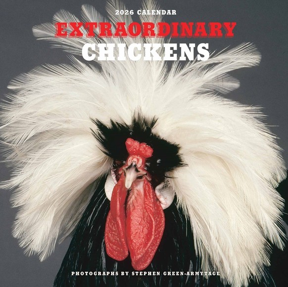 Extraordinary Chickens 2026 Calendar 
https://www.calendarclub.co.uk/extraordinary-chickens-calendar-2026-325014/