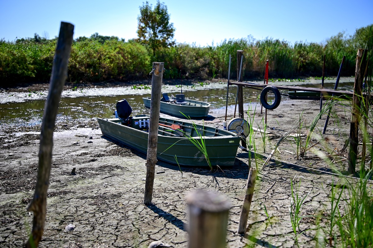 Boats lie on the dried-up basin of Lake Tisza in Tiszavalk, eastern Hungary, Monday, Aug. 24, 2026. (Zsolt Czegledi/MTI via AP)
Hungary Drought