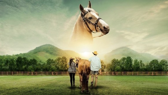 Hearts &amp; Horses