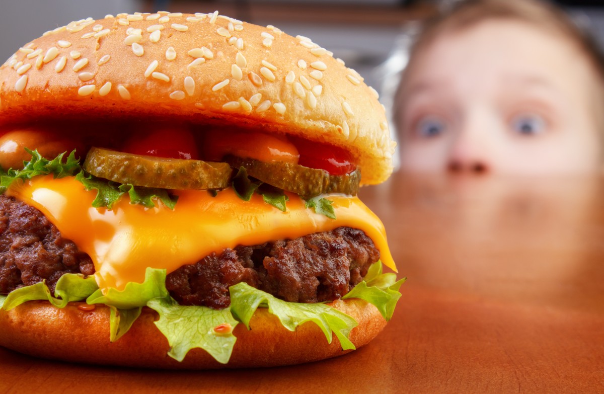 hamburger fast food fastfood mcdonalds burger king cheeseburger