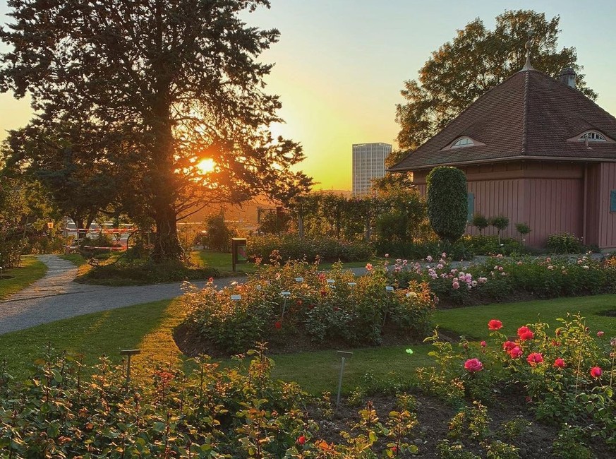 Rosengarten Rauszeit Winterthur