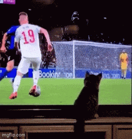 Animiertes GIF