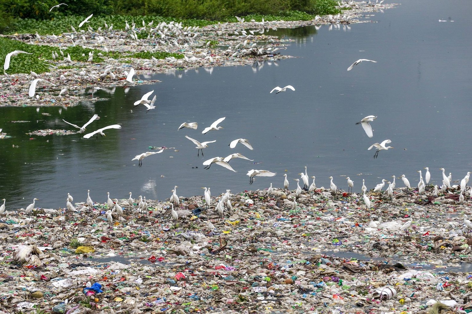 October 2, 2025, Dhaka, Bangladesh: October 02, 2025, Dhaka, Bangladesh: The rivers and canals around Dhaka were once vital sanctuaries of biodiversity. Countless fish swam in their waters, serving as ...