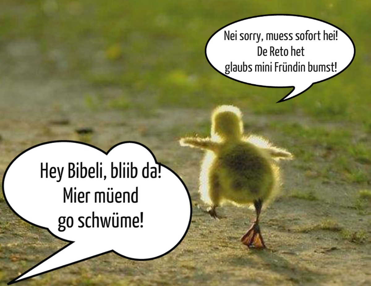 Bild