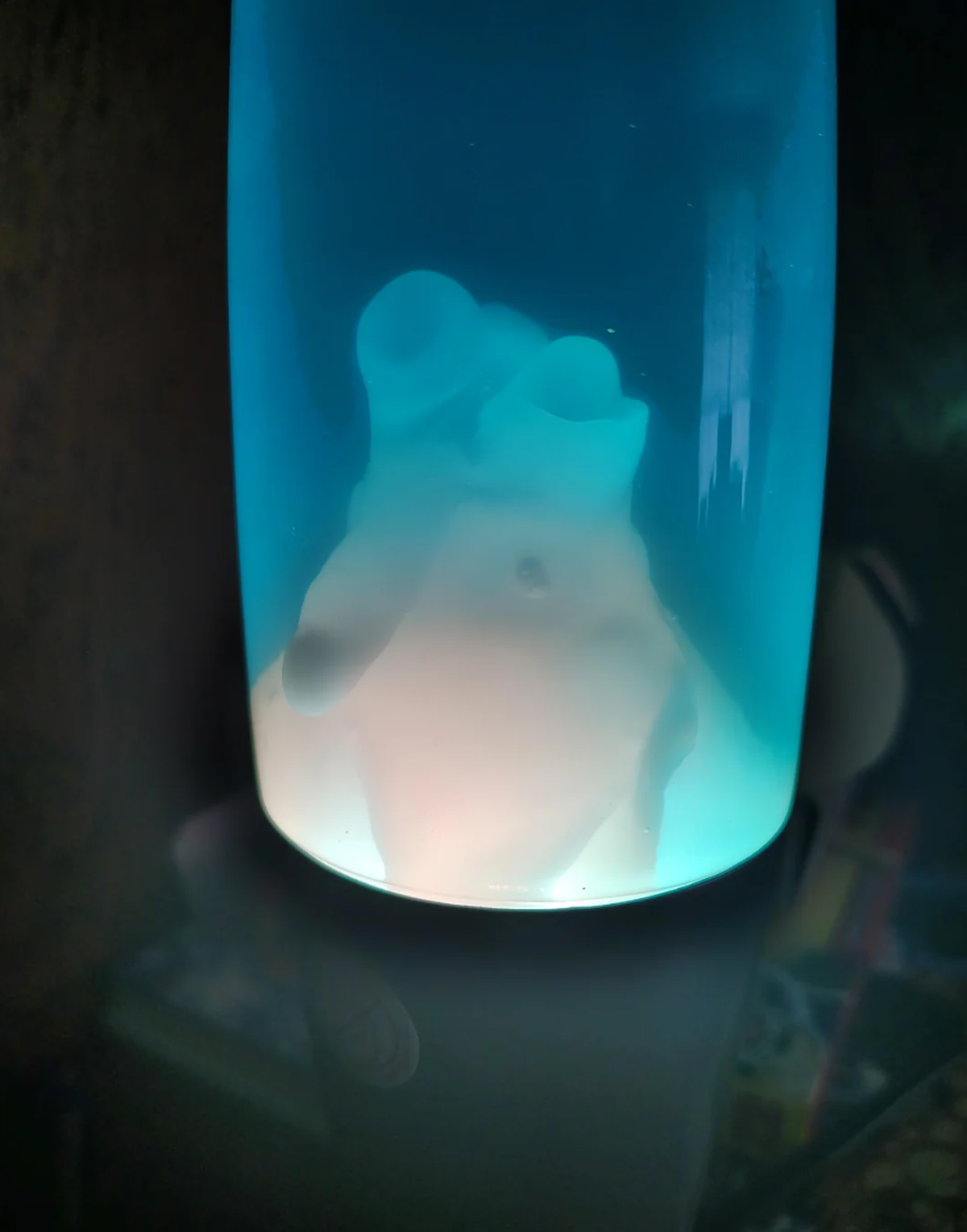 Pareidolie: Lustige Dinge mit Gesicht